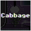 Cabbage Expert