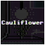 Cauliflower Expert