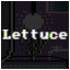Lettuce Expert