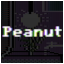 Peanut Expert