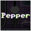 Pepper Expert