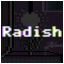 Radish Expert