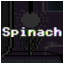 Spinach Expert