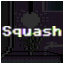 Squash Expert