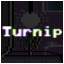 Turnip Expert