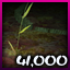 Forest of Fall - High Score