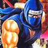 Ninja Gaiden II: The Dark Sword of Chaos (NES)