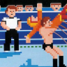 Completed Pro Wrestling (NES)
Awarded on 29 May 2022, 01:24