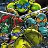 Teenage Mutant Ninja Turtles 2: Battle Nexus game badge