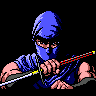 Ninja Gaiden game badge