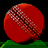 International Cricket game badge