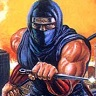 Ninja Gaiden | Shadow Warriors game badge