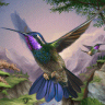 Kolibri game badge