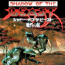 Shadow of the Beast: Mashou no Okite (Mega Drive)
