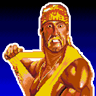 Completed WWF Super WrestleMania (Mega Drive)
Awarded on 28 Jul 2022, 05:24