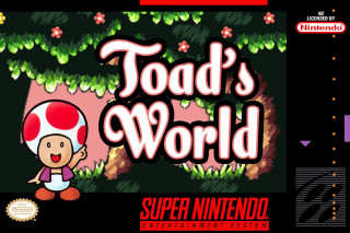 toad's world snes