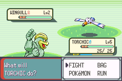 Pokemon Emerald Randomizer - How To! 