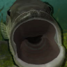 Reel Fishing | Fish Eyes (PlayStation)