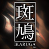 Ikaruga game badge