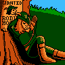 Super Robin Hood (NES)