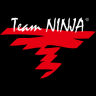 [Developer - Team Ninja] game badge