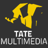 [Developer - Tate Multimedia] game badge