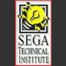 [Developer - Sega Technical Institute] game badge