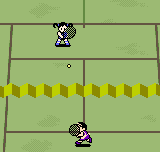 In-game screenshot