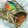 Rapala Pro Fishing game badge