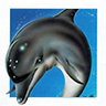 Ecco the Dolphin game badge