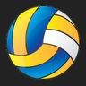 [Subgenre - Sports - Volleyball] game badge