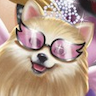 Barbie: Groom and Glam Pups game badge