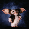 [Series - Gremlins]