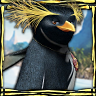 Surf's Up game badge