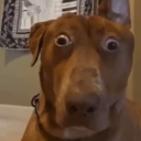 Atood