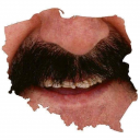 Bulbulator