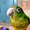 AlandersonBR