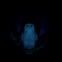 DarkOwl9