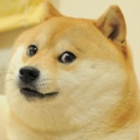 DogeCHILE
