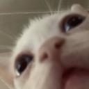 Eggbokk