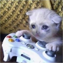 ManiacalGamerCat