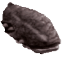 Grimbow
