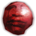 KoXmos