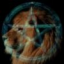 LionHeart