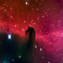 Majestallion