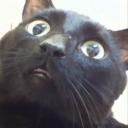 MontanaGandalf