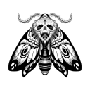 MothGirl