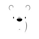 Polar2000