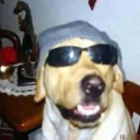 Saulp