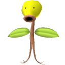 SolBigGuy